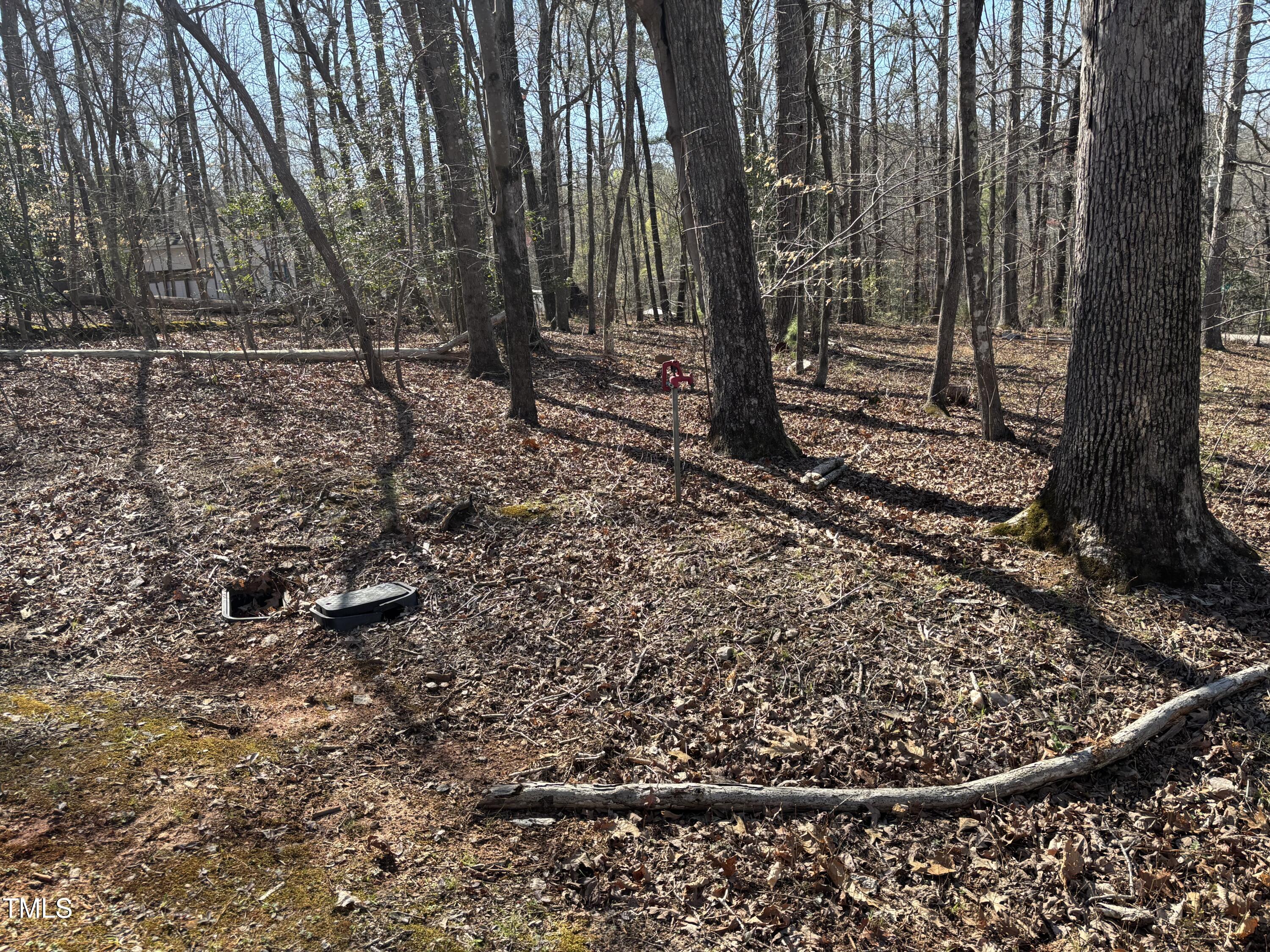 162-166 Cree Drive Spring Hope, NC 27882 - Photo 5 of 27 IMG_2223