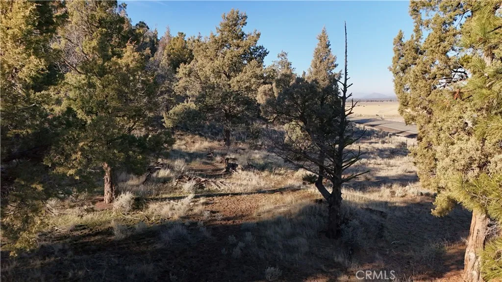44 Dwinell Weed, CA 96094 - Photo 8 of 10