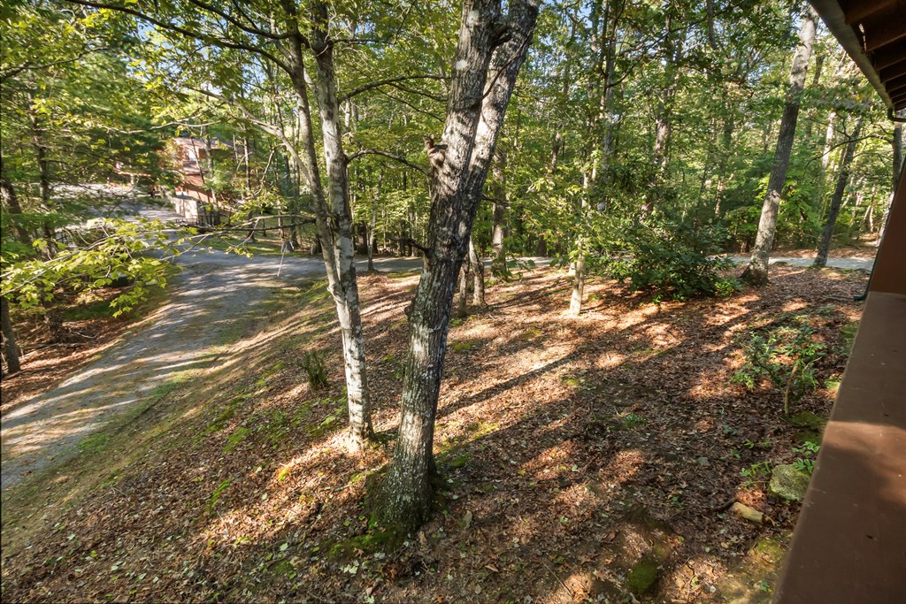 557 Goldfinch Lane Murphy, NC 28906 - Photo 18 of 61