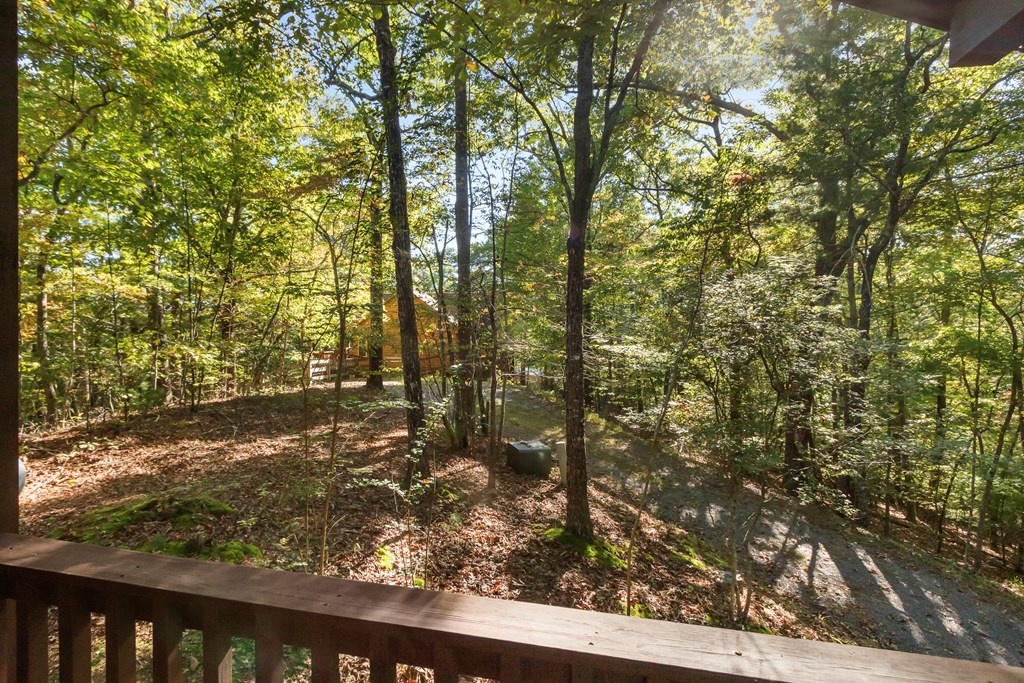 557 Goldfinch Lane Murphy, NC 28906 - Photo 19 of 61