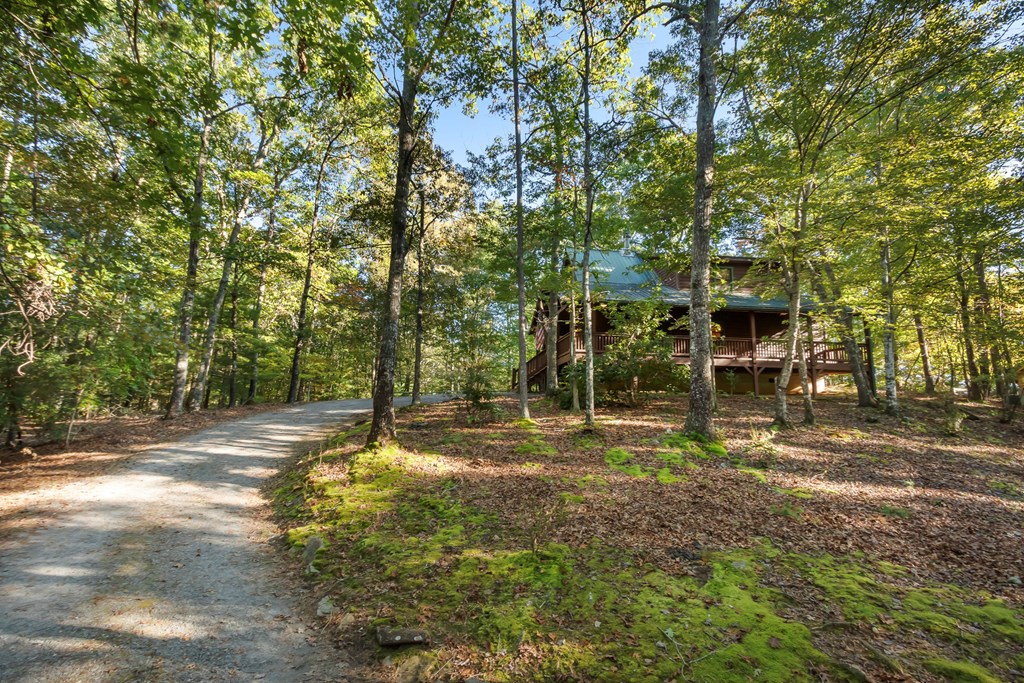 557 Goldfinch Lane Murphy, NC 28906 - Photo 3 of 61