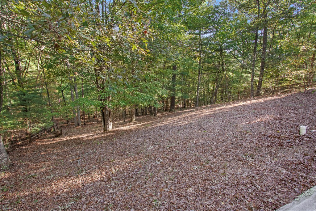557 Goldfinch Lane Murphy, NC 28906 - Photo 54 of 61