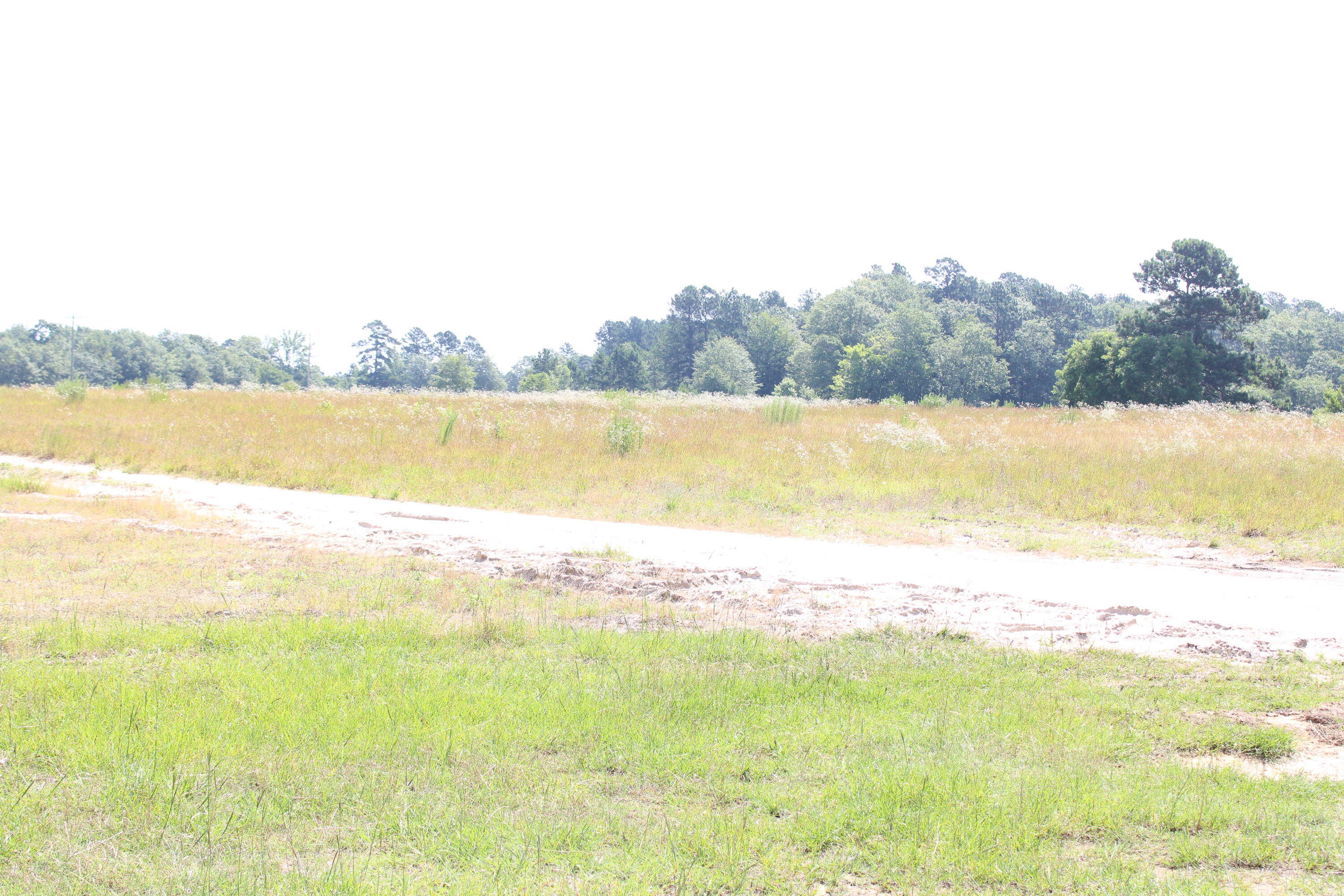1331 Silver Bluff Road Aiken, SC 29803 - Photo 6 of 6