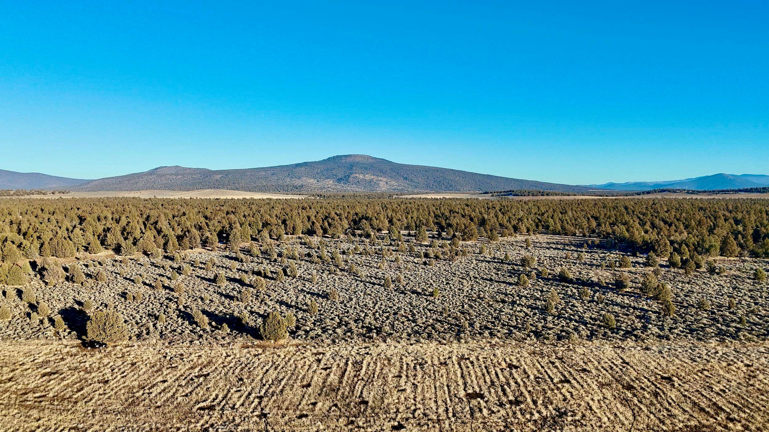 Xx Red Rock Road Macdoel, CA 96058 - Photo 13 of 44 Gallery Image 13