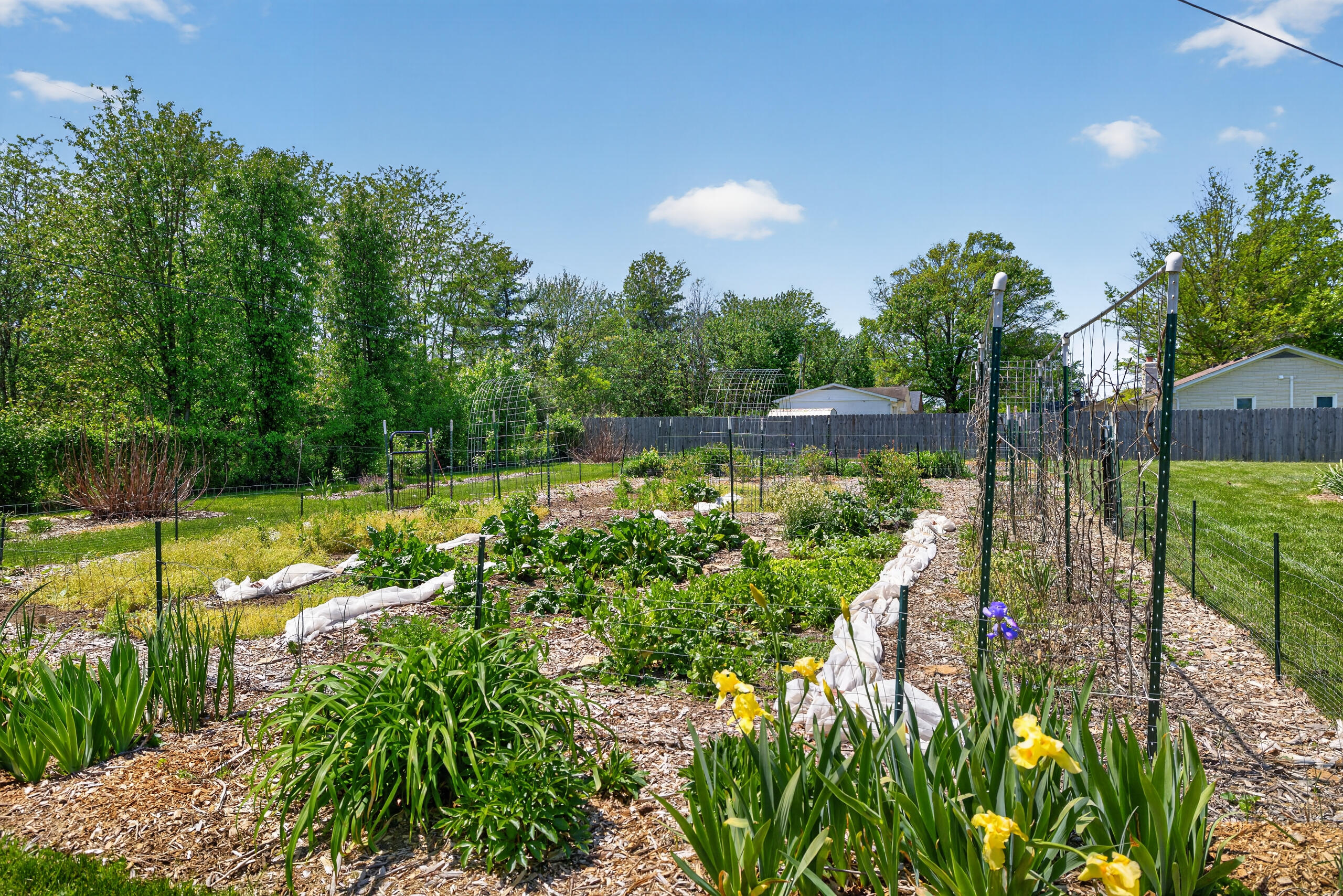 3306 Union Mill Road Nicholasville, KY 40356 - Photo 28 of 43 129