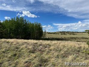 1599 Campfire Road Hartsel, CO 80449 - Photo 10 of 39 Gallery Image 10