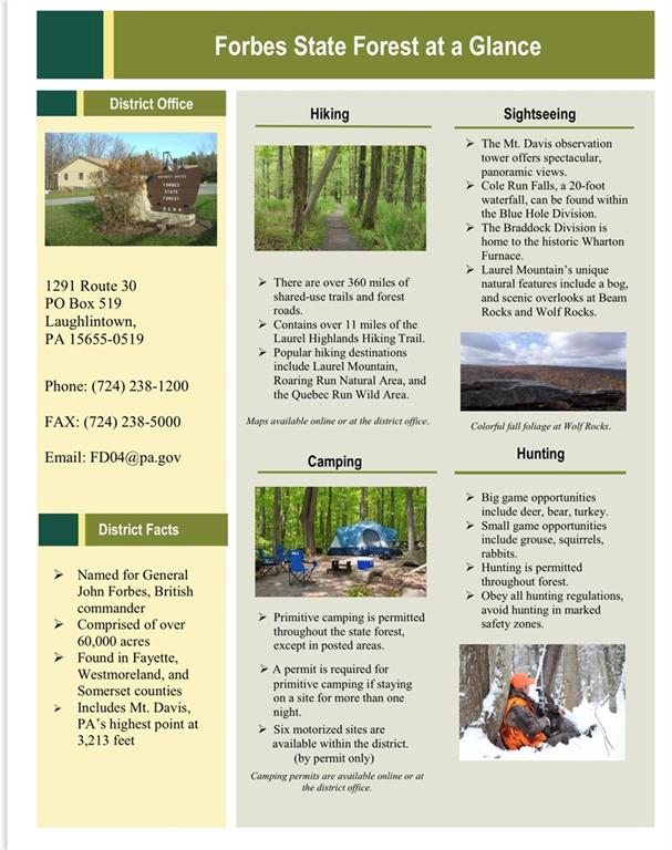314 Brethren Summit Road Farmington, PA 15437 - Photo 16 of 18