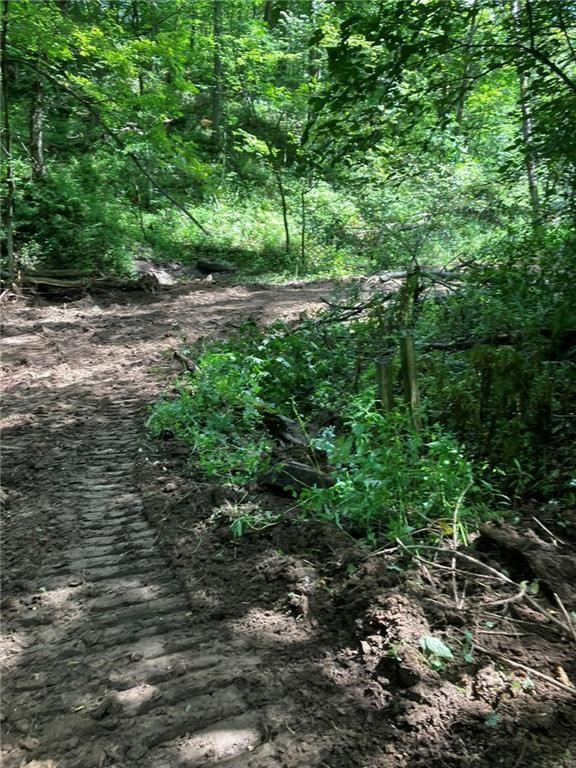 N3953-201 Bear Pen Road Arkansaw, WI 54721 - Photo 39 of 43