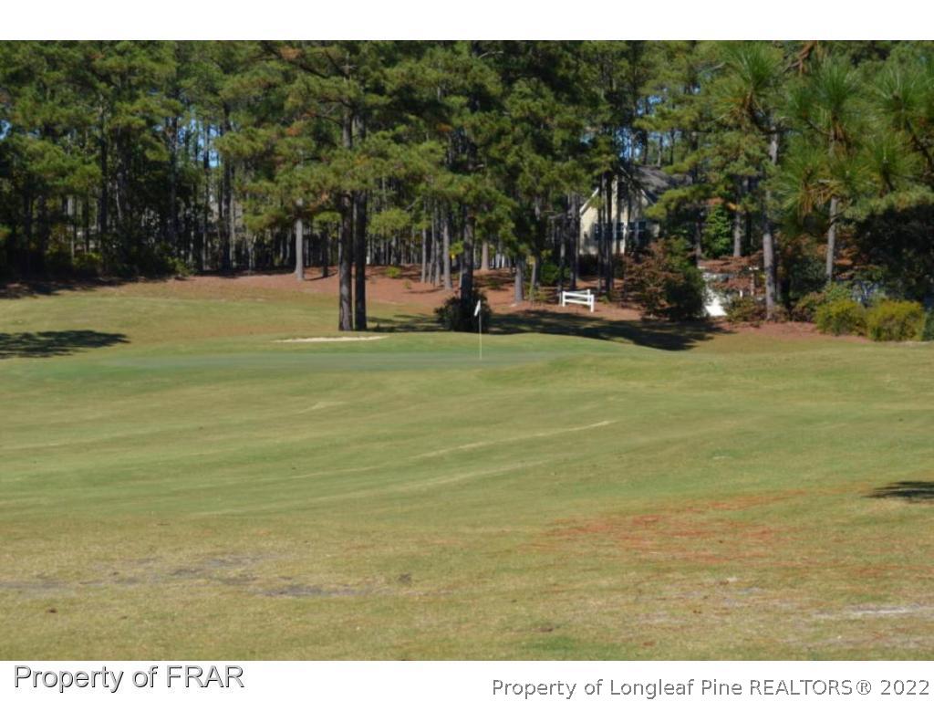 3940 Niagara Carthage Road Whispering Pines, NC 28327 - Photo 26 of 26 a view of outdoor space with trees