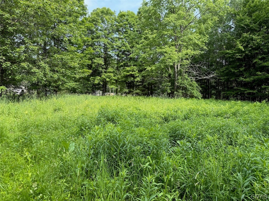 206 Durgee Road Orwell, NY 13302 - Photo 1 of 10 Gallery Image 1