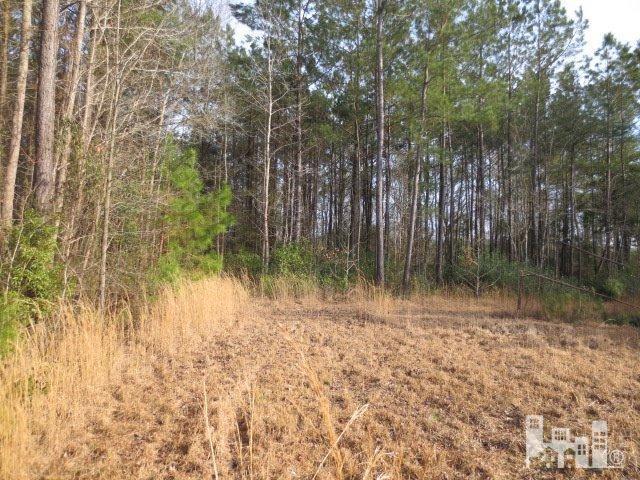 6505 Funston Road Southeast Winnabow, NC 28479 - Photo 6 of 10 Additional Photo