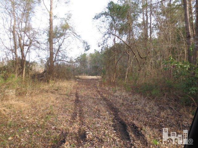 6505 Funston Road Southeast Winnabow, NC 28479 - Photo 8 of 10 Additional Photo