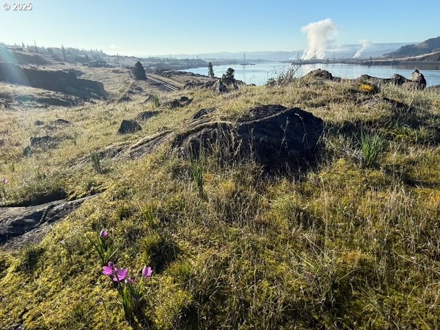 River View Lyle, WA 98635 - Photo 10 of 25
