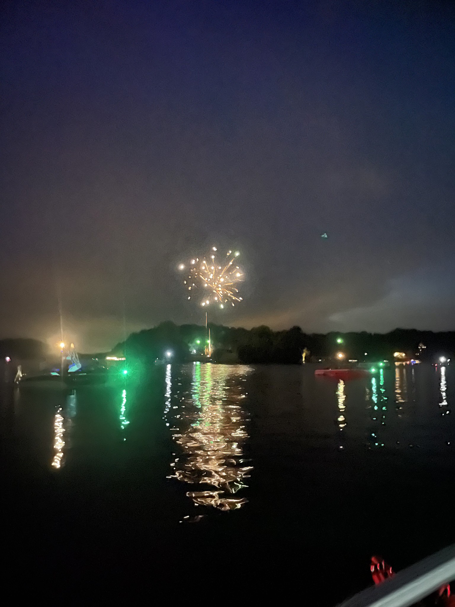 1552 Damron Road Estill Springs, TN 37330 - Photo 52 of 59