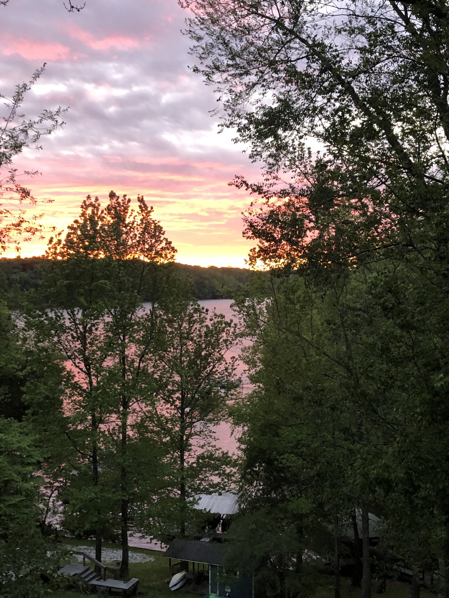 1552 Damron Road Estill Springs, TN 37330 - Photo 53 of 59