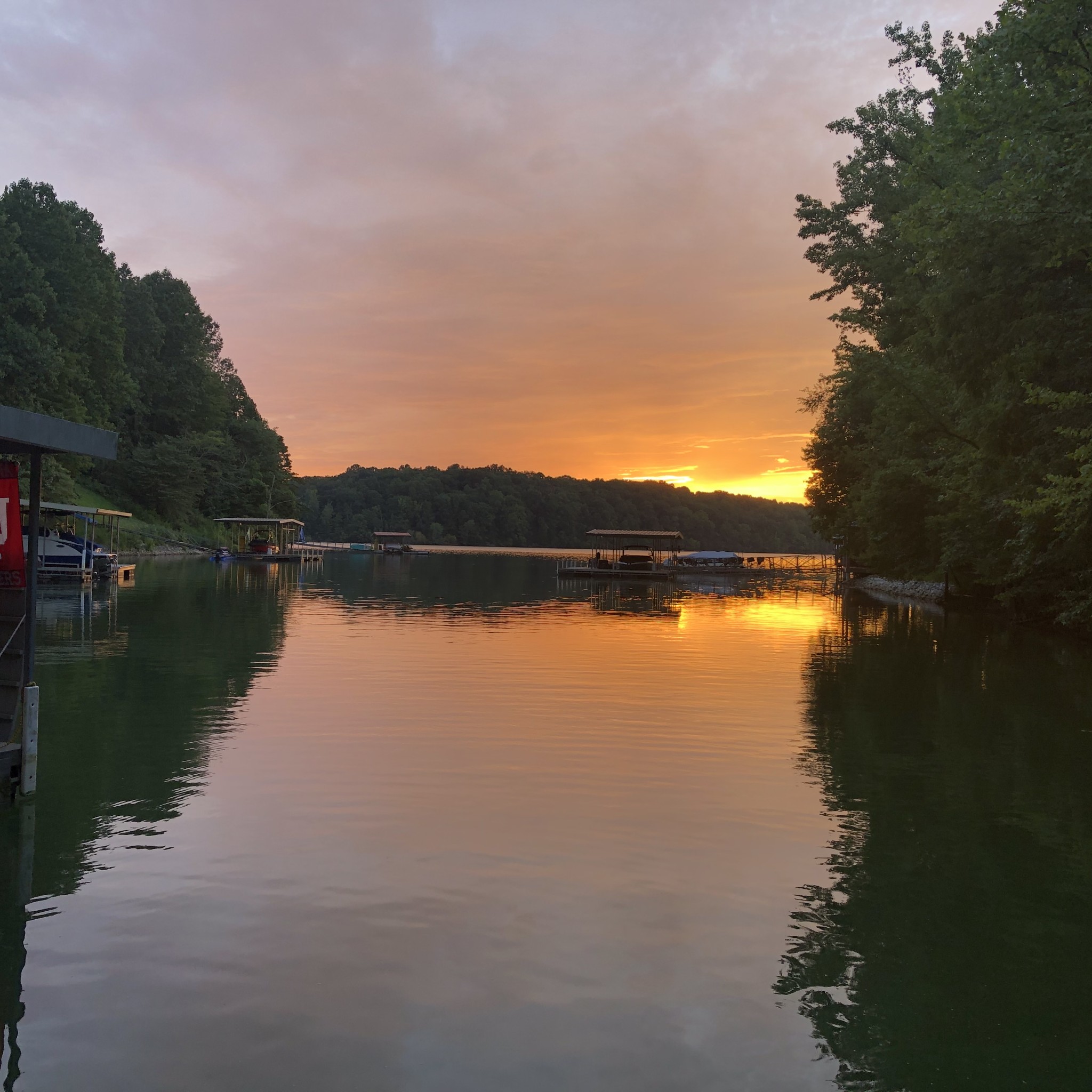 1552 Damron Road Estill Springs, TN 37330 - Photo 55 of 59