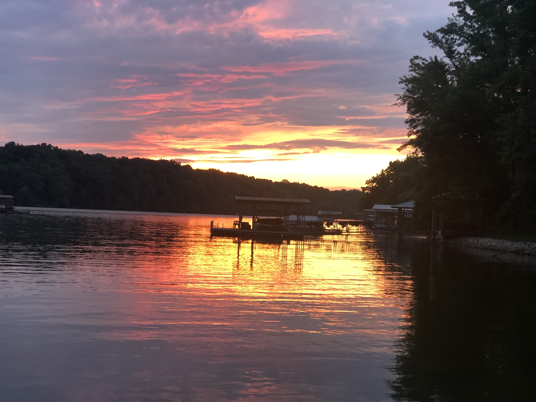 1552 Damron Road Estill Springs, TN 37330 - Photo 57 of 59