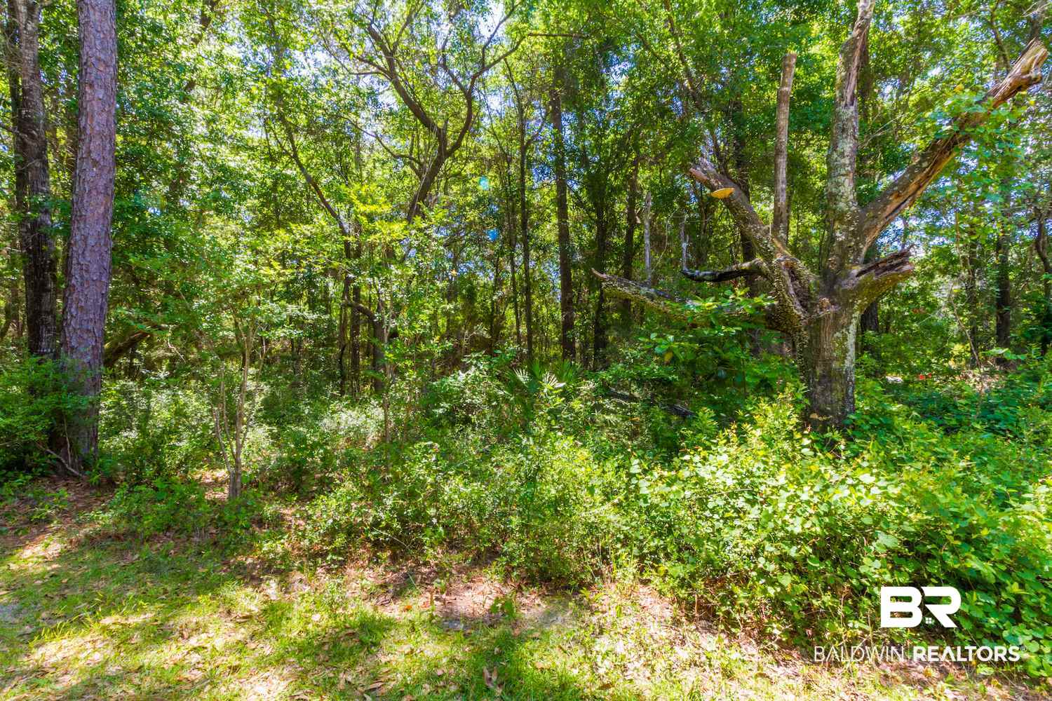 8844 Red Fish Pt Road Lillian, AL 36549 - Photo 14 of 16 Gallery Image 14