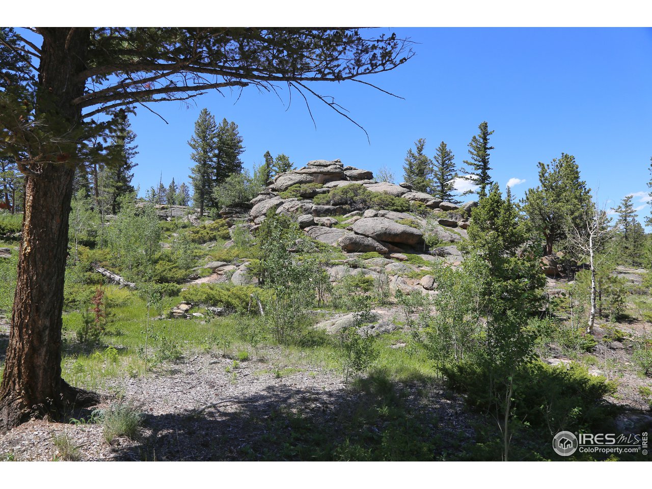 975 Crow Road Red Feather Lakes, CO 80545 - Photo 34 of 38 Gallery Image 34