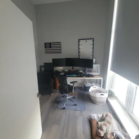 a view of a workspace with furniture and a potted plant