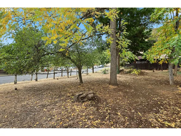 a view of a tree in the middle of a yard