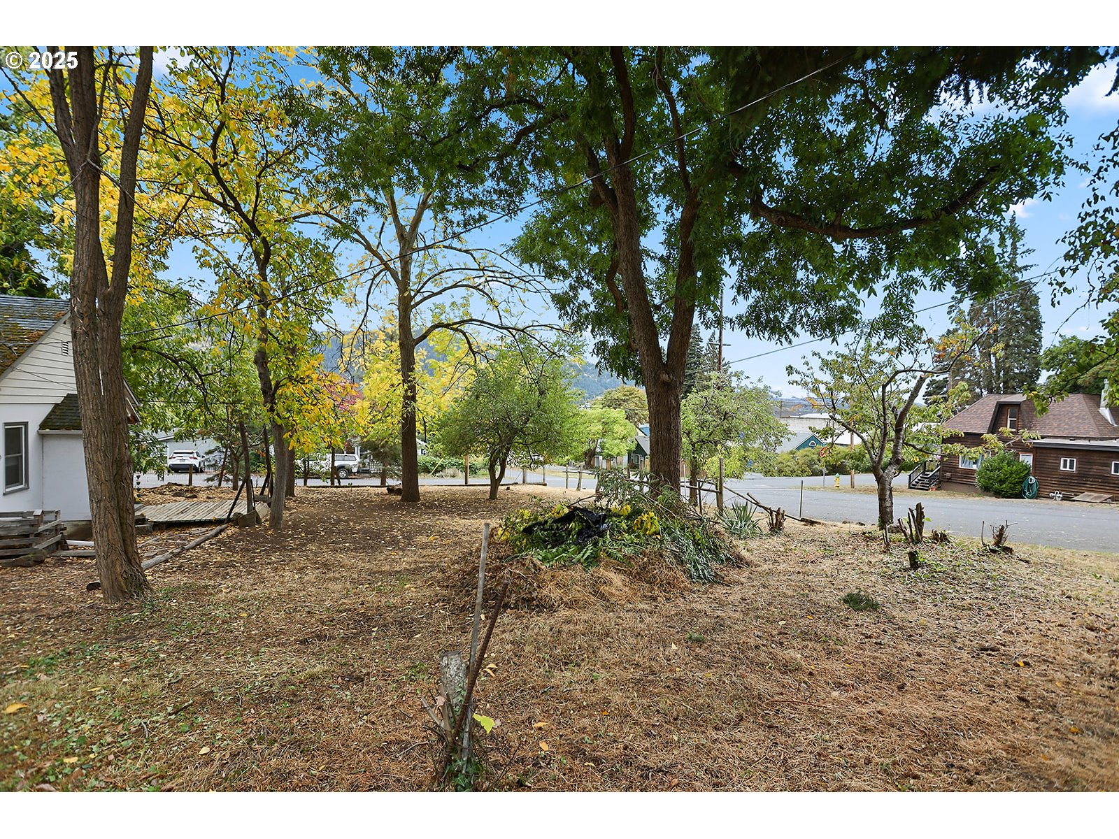 East Franklin Street Bingen, WA 98605 - Photo 2 of 11 a backyard of a house with lots of green space