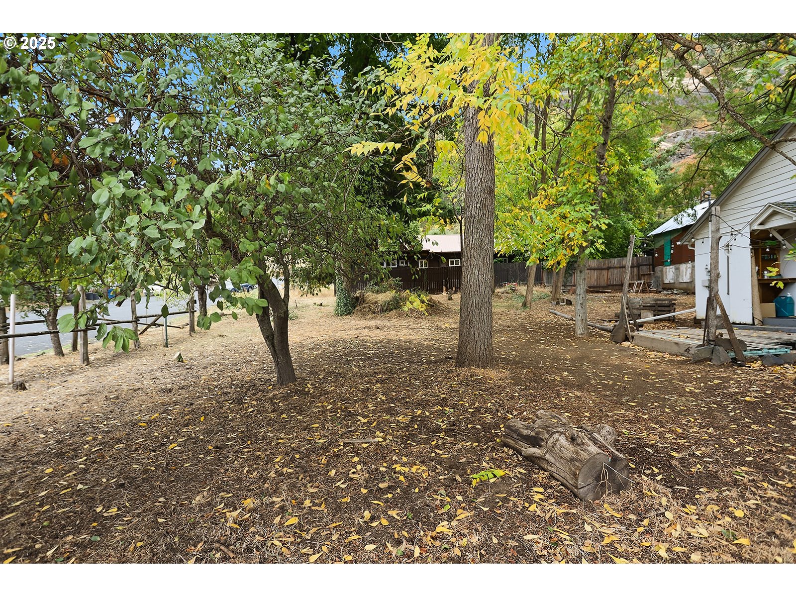 East Franklin Street Bingen, WA 98605 - Photo 3 of 11 a view of outdoor space with trees