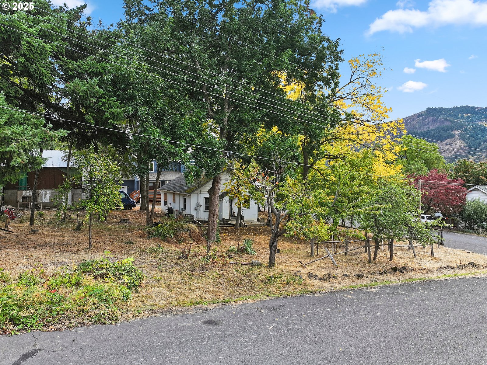 East Franklin Street Bingen, WA 98605 - Photo 6 of 11 a view of a yard with a tree