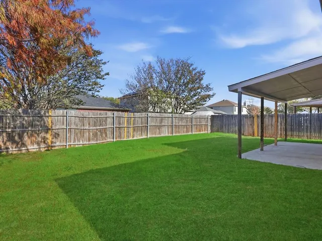 a view of a yard with a big yard