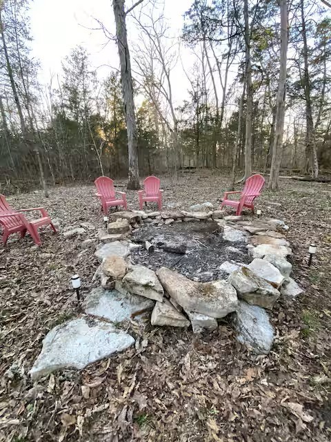 233 Porterfield Road Readyville, TN 37149 - Photo 9 of 32 a backyard of a house with lots of green space