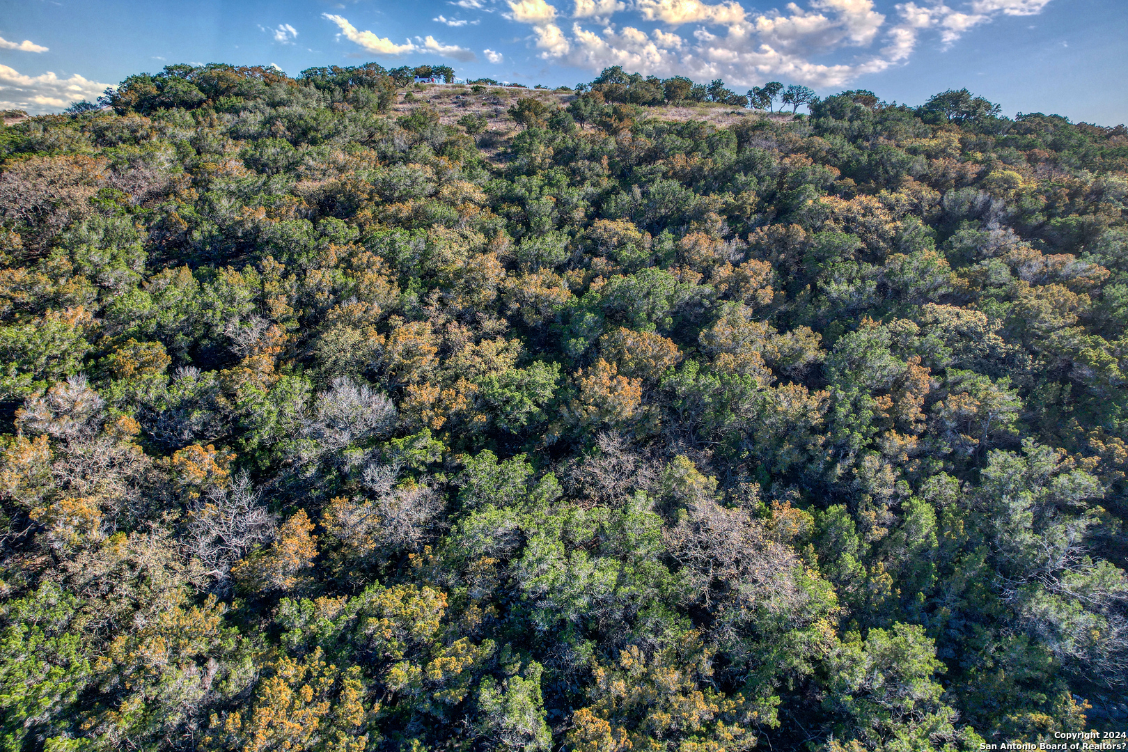 558 South Ridge Drive Concan, TX 78838 - Photo 25 of 35 an aerial view of a houses with a yard