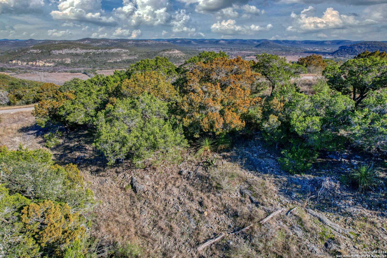 558 South Ridge Drive Concan, TX 78838 - Photo 28 of 35 a view of a yard with plants