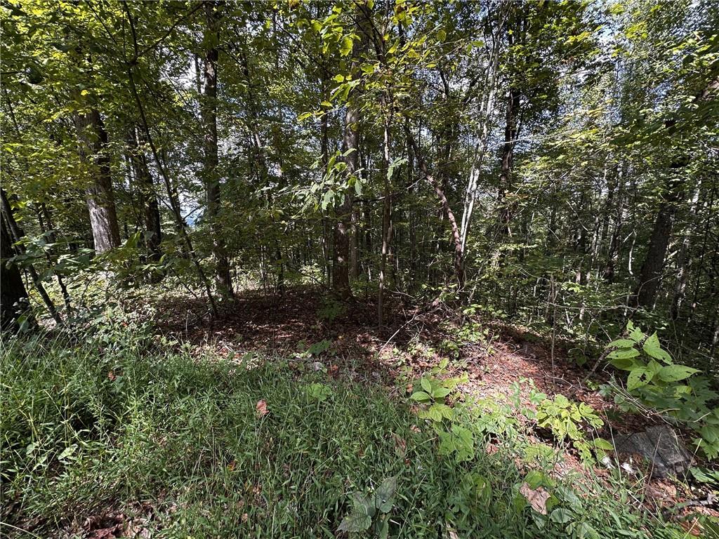 7 R Mountain Falls Loop Ellijay, GA 30536 - Photo 16 of 18 Gallery Image 16