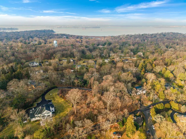 a view of a yard with trees