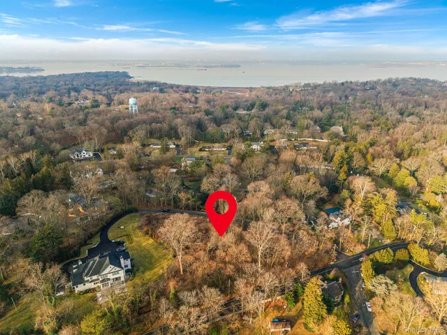 a view of a yard with large trees