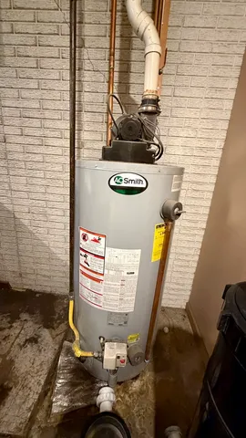 a view of a tree in a yard