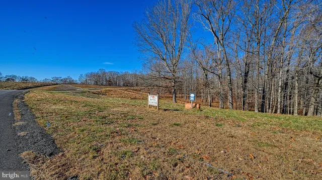 a view of dirt field with trees