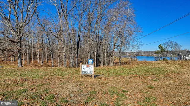 a view of outdoor space with trees