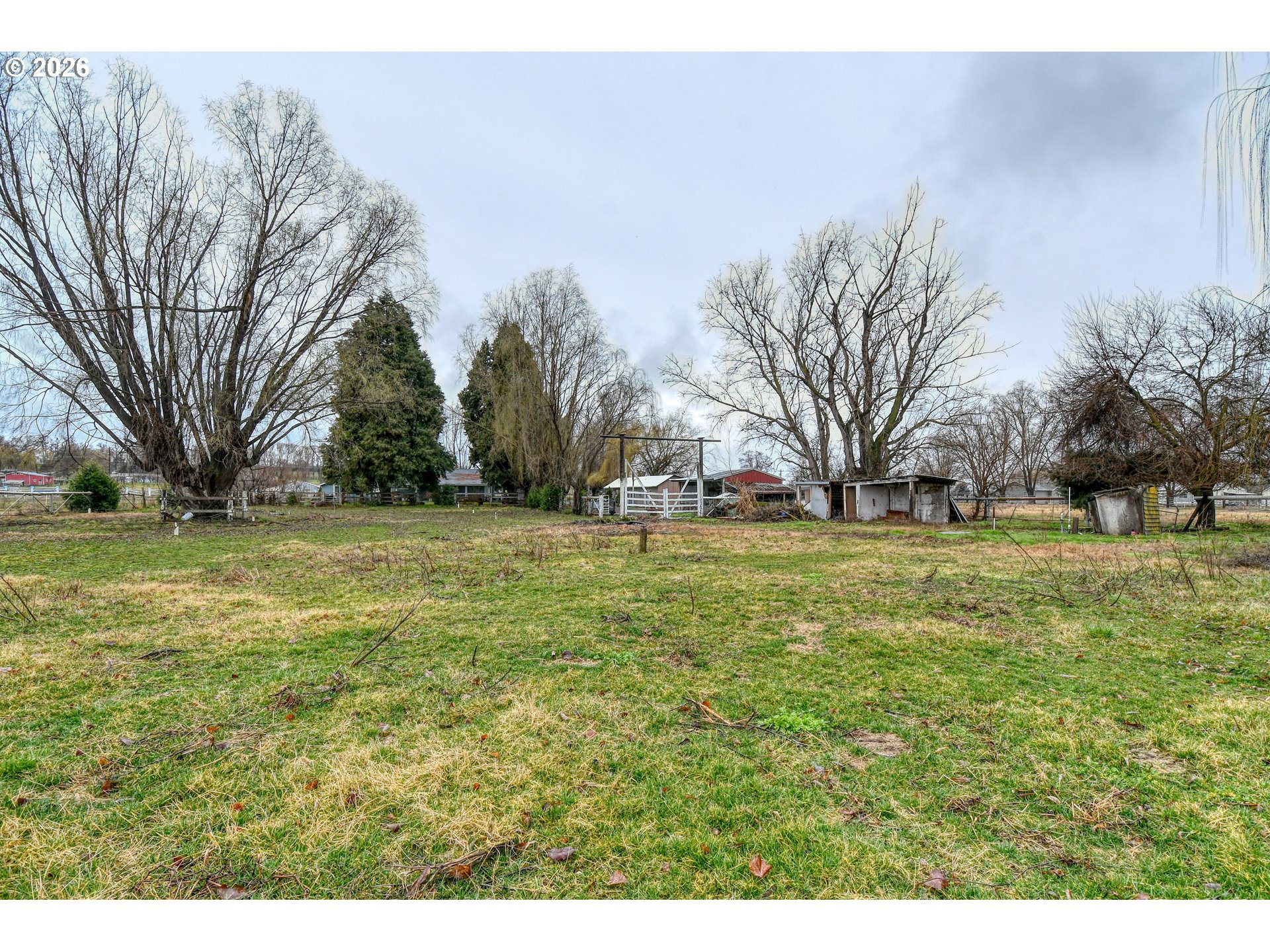 32611 Baxter Road Hermiston, OR 97838 - Photo 41 of 46 a view of yard with trees