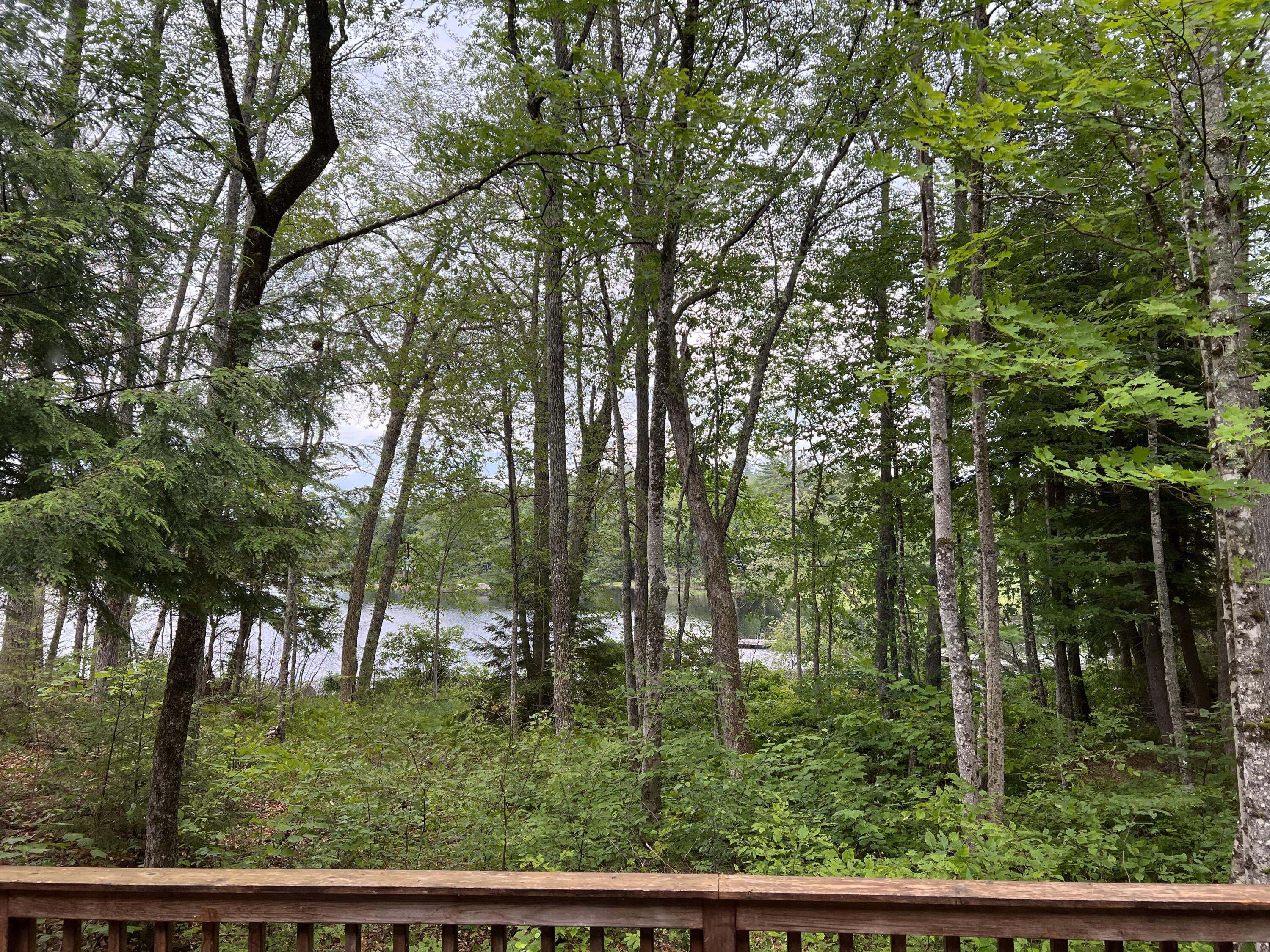 142 5 Kezar Ponds Road Waterford, ME 04088 - Photo 23 of 73 2D0B06C1-B089-4620-8217-A2F1EA6E2ED2
