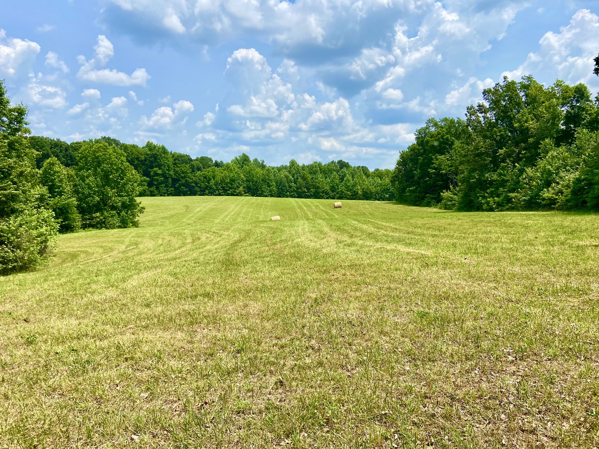 0 Pea Ridge Road Woodbury, TN 37190 - Photo 2 of 16 a view of outdoor space with mountain view