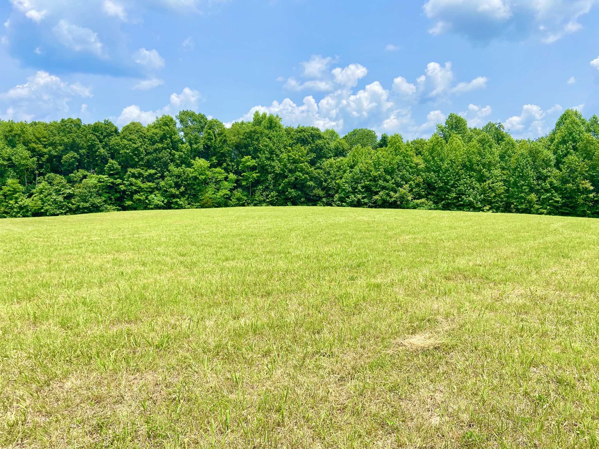 0 Pea Ridge Road Woodbury, TN 37190 - Photo 4 of 16 a view of outdoor space and yard