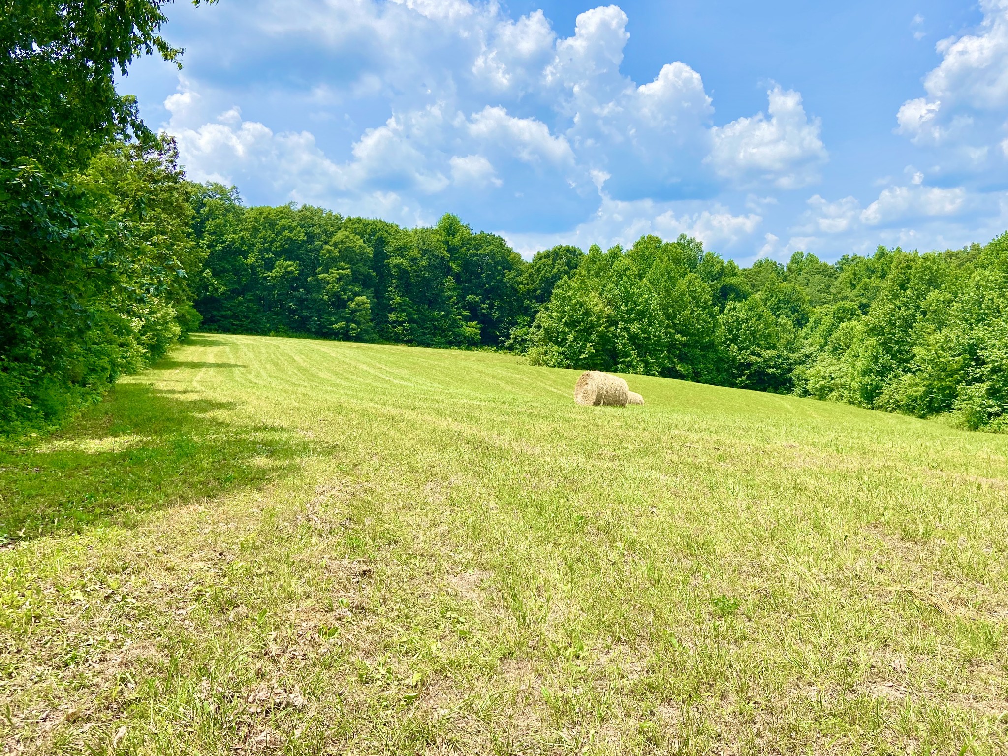 0 Pea Ridge Road Woodbury, TN 37190 - Photo 5 of 16 a view of outdoor space and yard