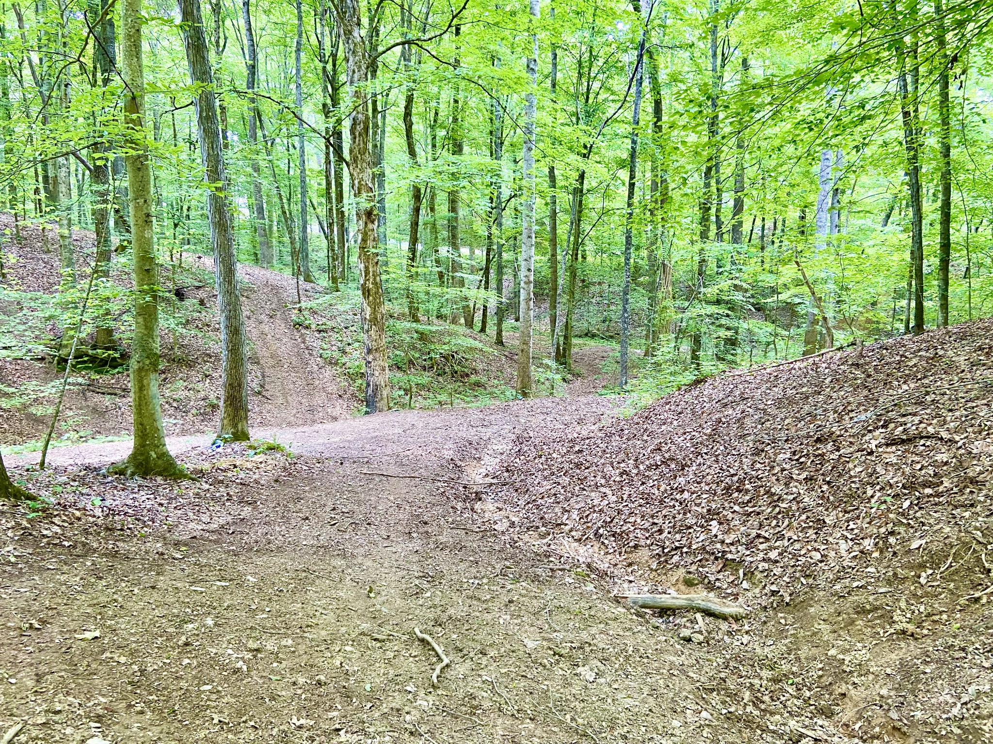 0 Pea Ridge Road Woodbury, TN 37190 - Photo 6 of 16 a view of a backyard