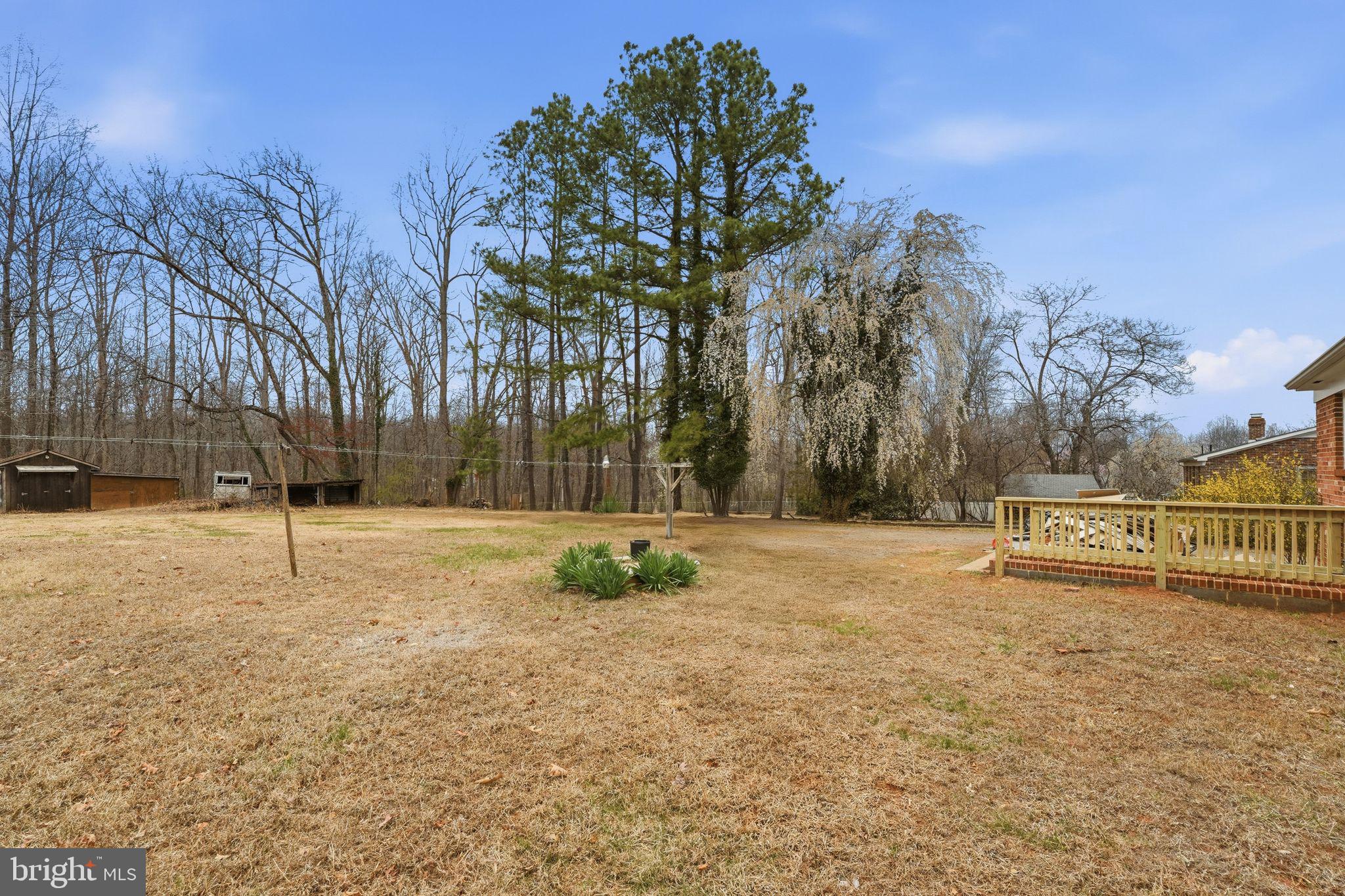 984 Oak Park Road Madison, VA 22727 - Photo 3 of 20 a view of park with trees