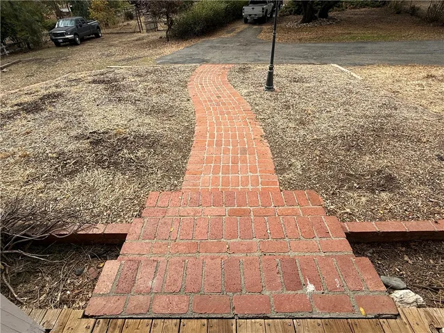a view of a trees in a yard