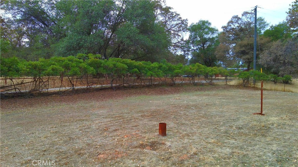 5264 Davis Road Midpines, CA 95345 - Photo 3 of 48 a backyard of a house with lots of green space