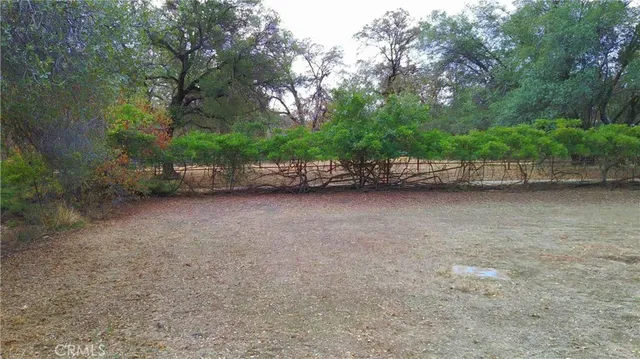 a view of a street with trees and a wooden fence