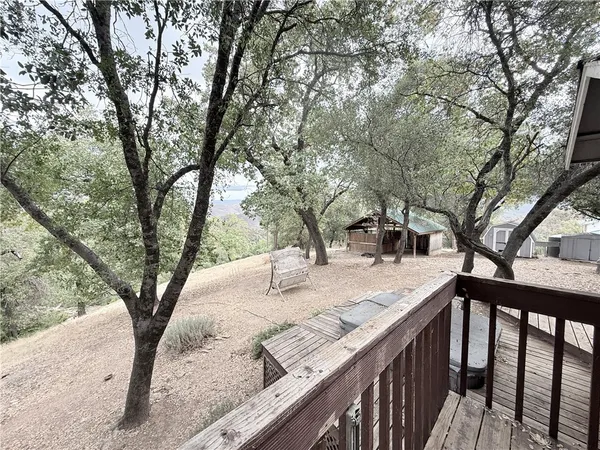 a view of a forest with trees