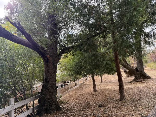 a big house with large trees and wooden fence